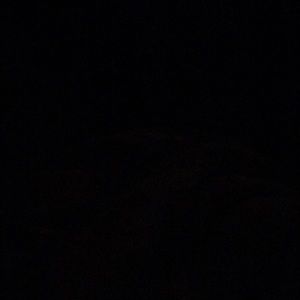 Meet your Posher, Sheila